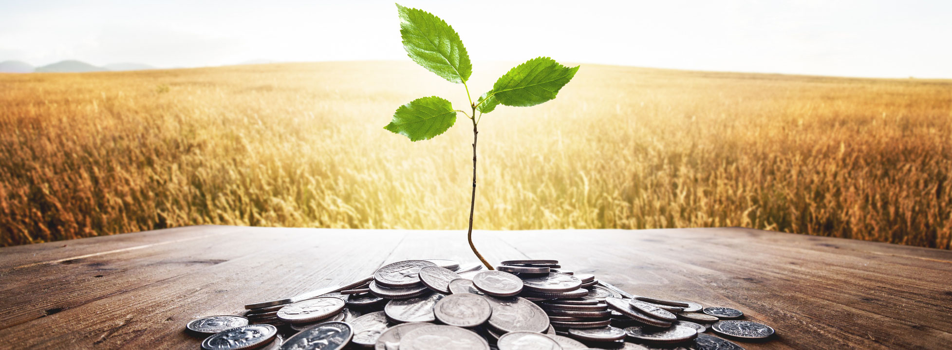 Sustainable Investments