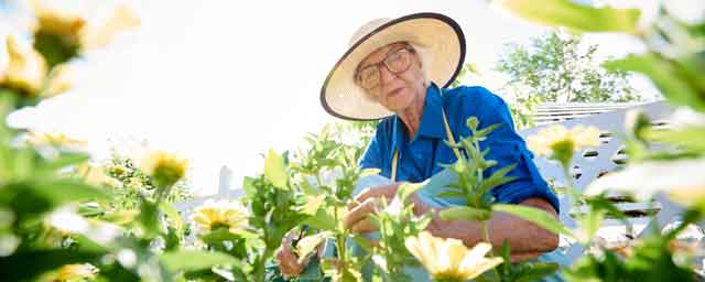 5 Ways Seniors Can Create A Sustainable Lifestyle For Retirement